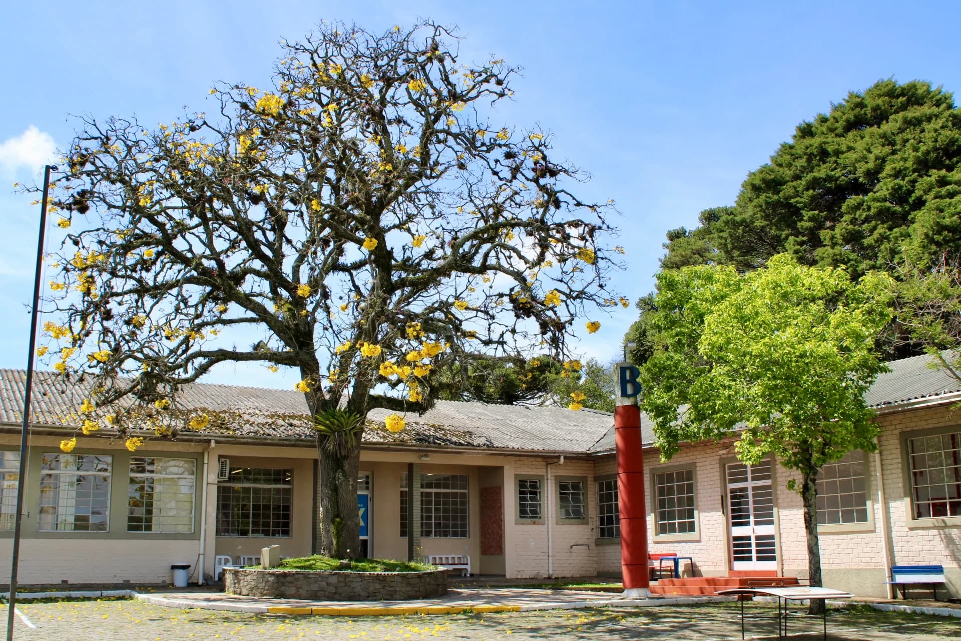 Cursos Técnicos